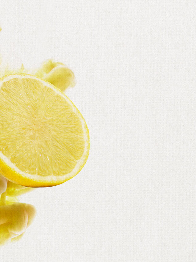 succo concentrato limone 400GPL 500GPL
